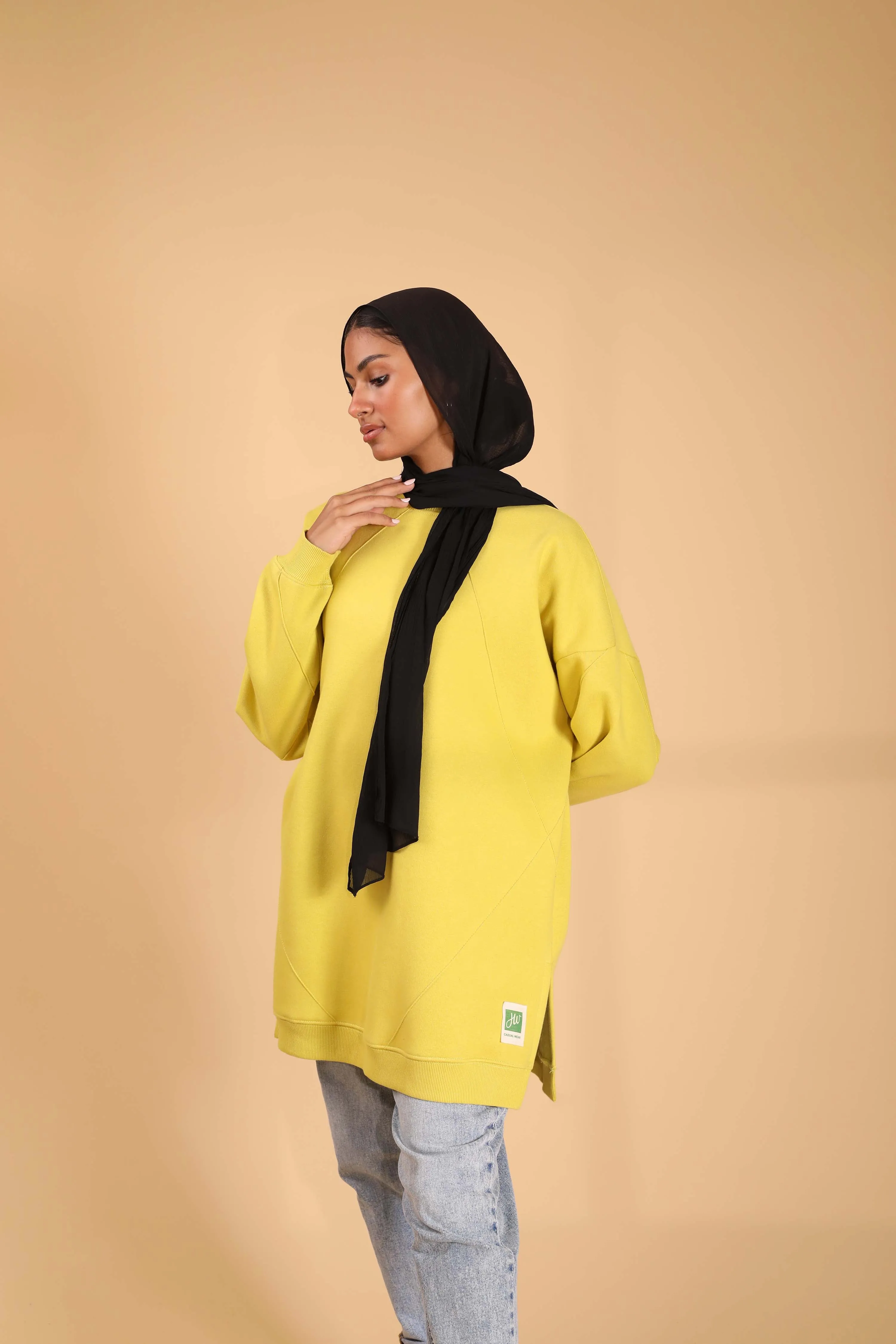 Milton SweatShirt W511